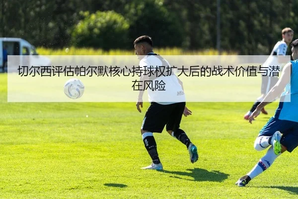 切尔西评估帕尔默核心持球权扩大后的战术价值与潜在风险